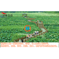 景觀浮橋設計，安裝，生產(chǎn)，批發(fā)，供應