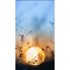 真相揭露！carran不正規(guī)！慧空清風(fēng)坑我?guī)资f虧損真相揭露