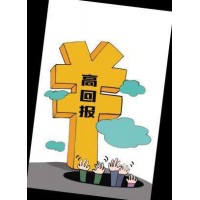 焦點,盈盛咨詢不正規(guī),盈盛咨詢虧損真相揭露
