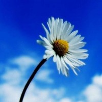 警惕盛世創(chuàng)富不正規(guī)！老師直播喊單騙局揭露！揭露虧損真相內(nèi)幕