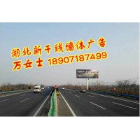 湖北武漢創(chuàng)意墻體店招廣告，湖北武漢戶外廣告牌安裝，武漢軍運會
