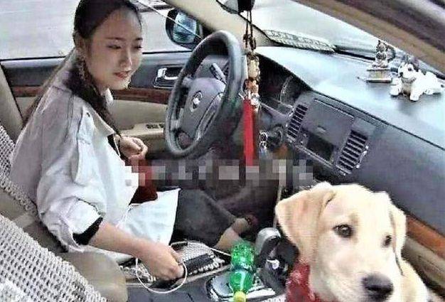 女司機(jī)注意了！往后副駕駛放這個(gè)，交警查到扣3分罰款200元