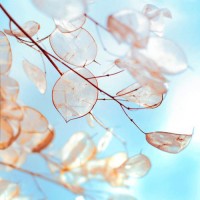 真相揭露AEGlobal不正規(guī)內(nèi)幕！揭露騙局真相本人親身經(jīng)歷