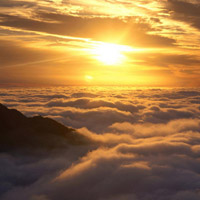 真相揭露bwaex不正規(guī)內(nèi)幕！揭揭露騙局真相本人親身經(jīng)歷告誡