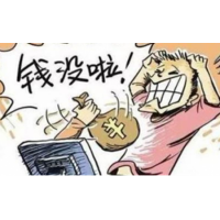 明泰國際實為陷阱！胖大海指導泰國燕窩虧損真相揭露！