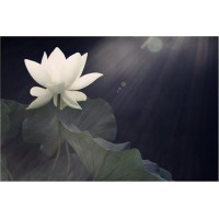 新紀(jì)元期貨正規(guī)嗎？被騙爆倉合法嗎？都說是騙局怎么辦？