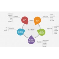 到底什么是B2B2C呢？