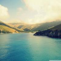 海農(nóng)中藥材正規(guī)嗎？是騙局嗎？跟上老師操作竟然虧損一敗涂地！