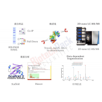 蛋白膠點(diǎn)、膠條、IP樣品蛋白質(zhì)鑒定