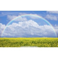 講述國強投資社林國強不正規(guī)虧損經(jīng)歷,投資被騙幾十萬可挽回!