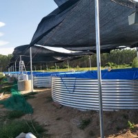 帆布魚池能用多久帆布水池耐用8-10年鍍鋅板養(yǎng)殖帆布池蓄水池