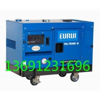 進(jìn)口柴油發(fā)電機(jī)TDL7500E-B