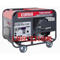 原裝日本進口東洋汽油發(fā)電機TSN19000E