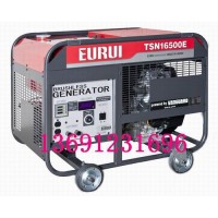 原裝進口汽油發(fā)電機TSN16500E