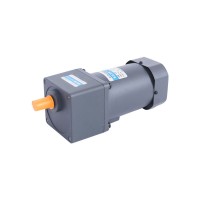 科勁6W200W馬達微型交流齒輪減速電動機感應(yīng)調(diào)速剎車電機