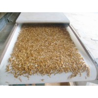 微波黃粉蟲(chóng)膨化干燥設(shè)備、食品微波干燥設(shè)備