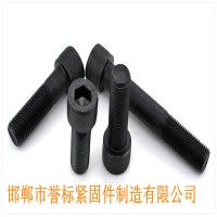 現(xiàn)貨供應(yīng)GB70.1高強(qiáng)度加長8.8級(jí)圓柱頭內(nèi)六角螺栓