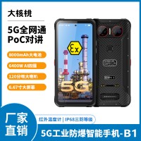 大核桃三防智能手機(jī) 石油化工礦井對(duì)講巡檢5G全網(wǎng)通防爆手機(jī)