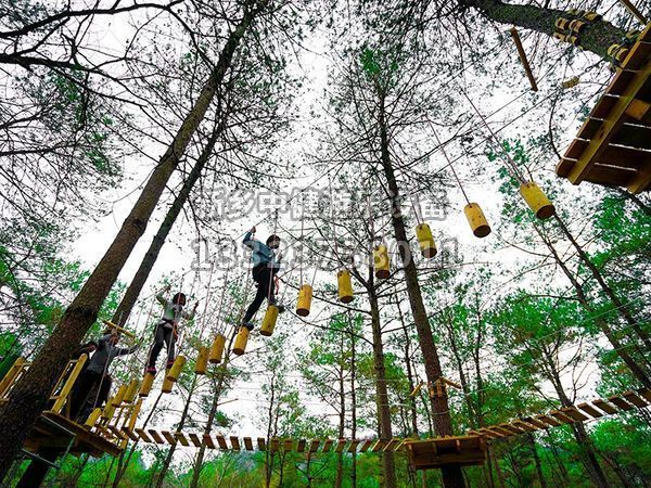 叢林穿越設備的搭建對環境有影響嗎？